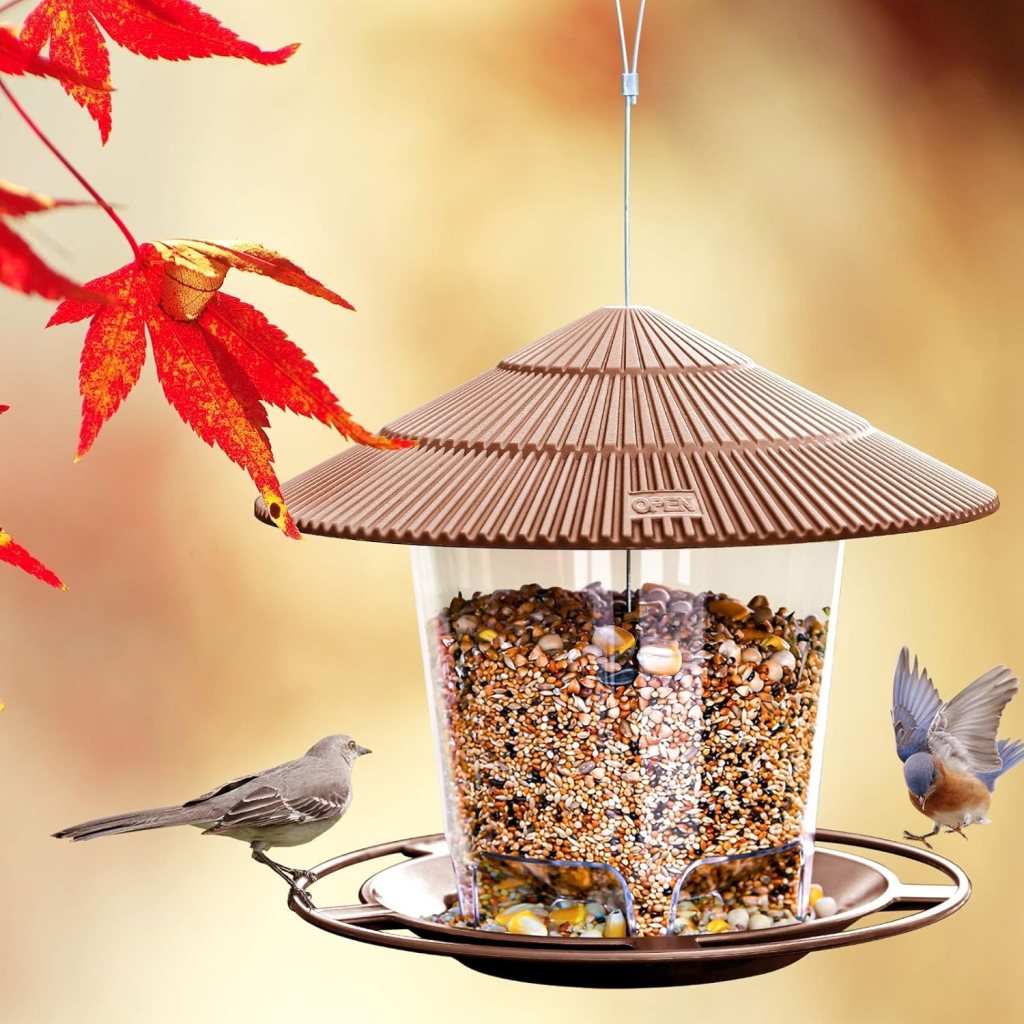 The Best Way of Feeding Can Be for the&nbsp;Birds!